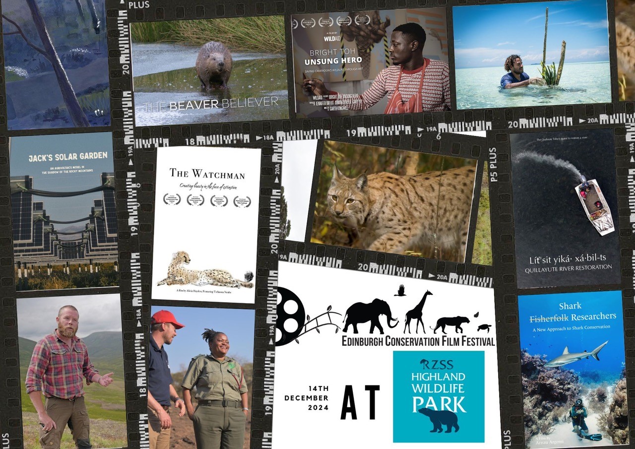 Edinburgh Conservation Film Festival 2024 at Highland Wildlife Park