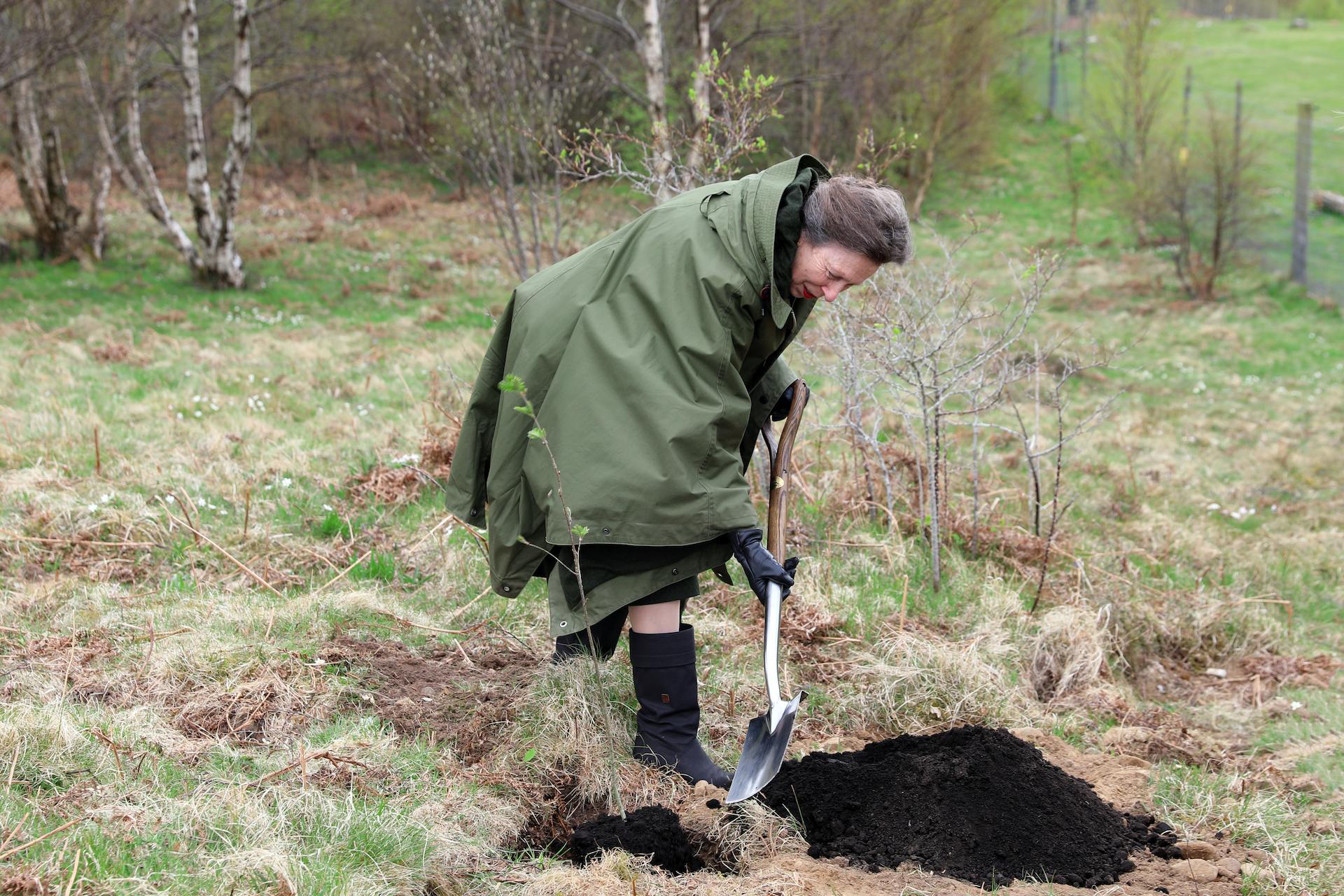 HRH Princess Royal planting tree to mark site of Scotland's Wildlife discovery Centre

Image: LAURA MOORE 2022