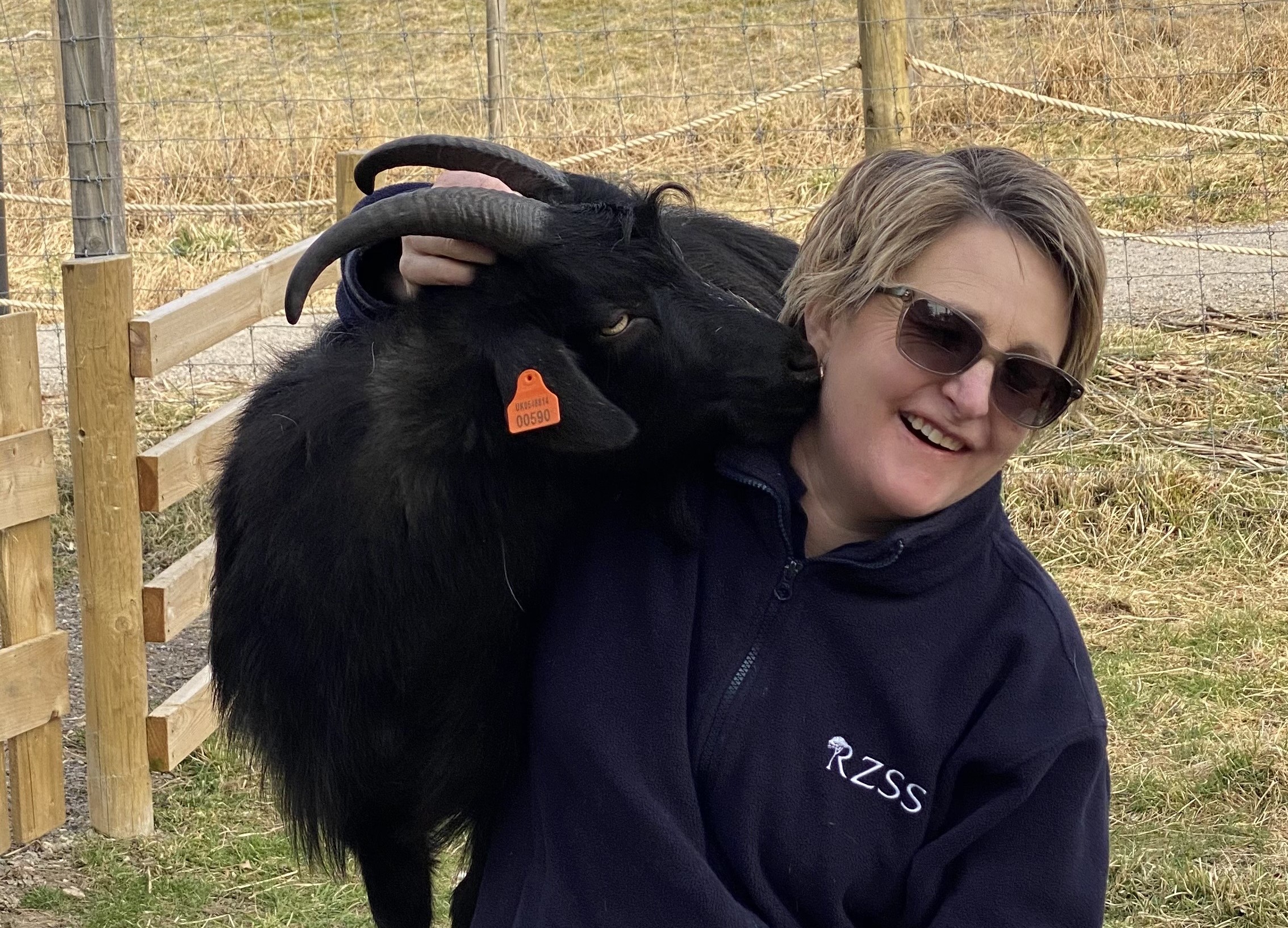 Bactrian camel looking to the left IMAGE: Sian Addison 2019