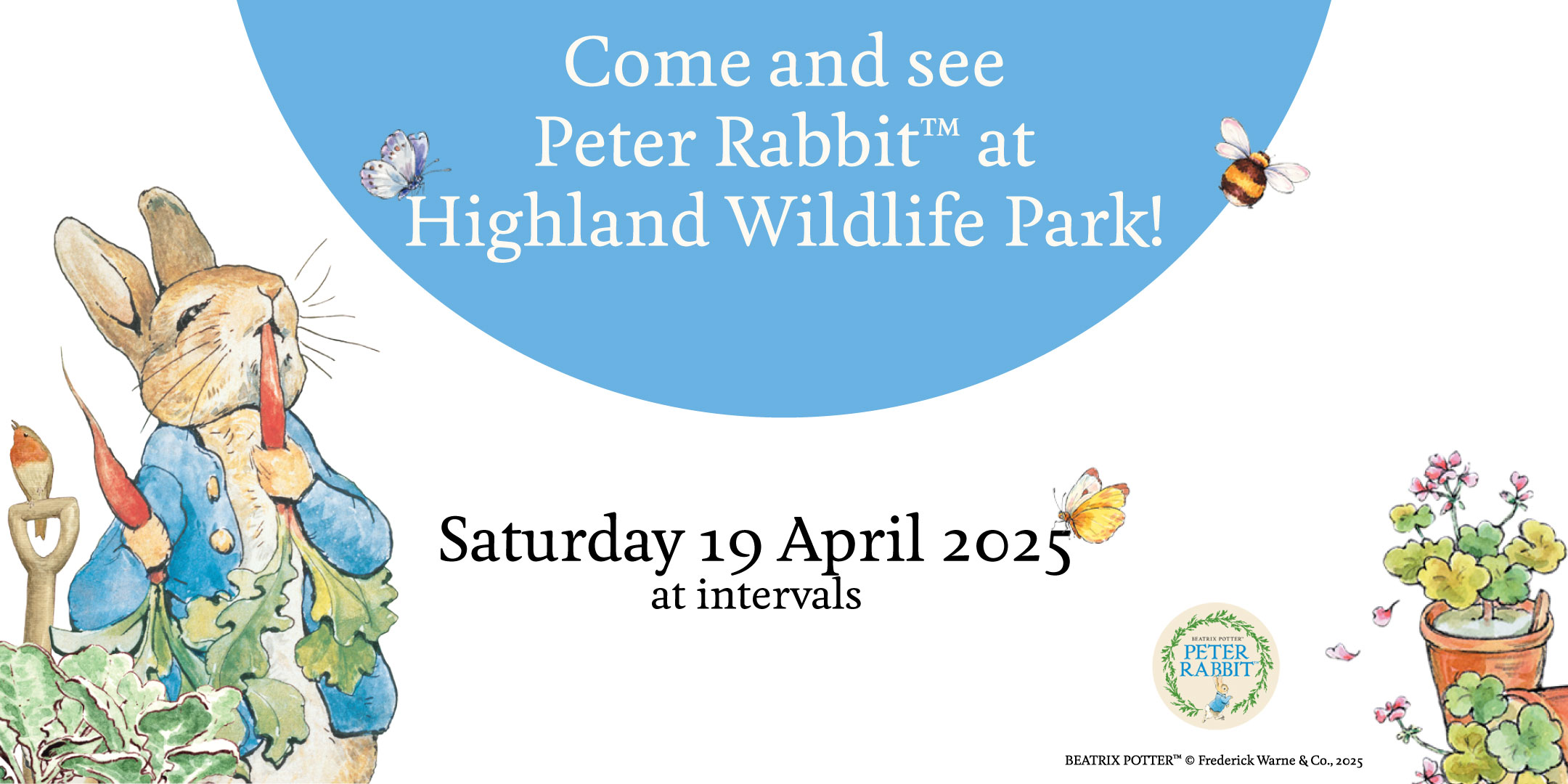 peter rabbit at highland wildlife park design
